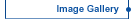 Image Gallery